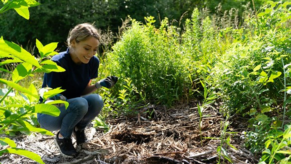 Restoration Workday at Duck Farm (West) in Lake Villa